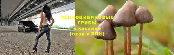 ешки Богородицк